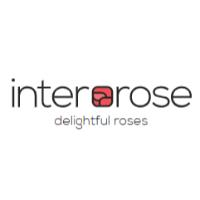 Inter Rose Discount Codes and Coupons 2025