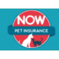 Now Pet Discount Codes and Coupons 2025